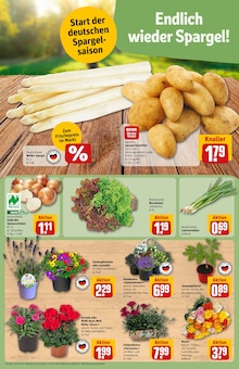 Spargel im REWE Prospekt "Dein Markt" mit 28 Seiten (Frankfurt (Main))