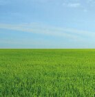 Aktuelles Pavillon Jackson Angebot bei Globus-Baumarkt in Koblenz ab 499,00 €