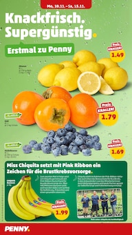 Aktueller Penny Prospekt "Wer günstig will, muss Penny." Seite 2 von 41 Seiten