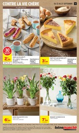 Promos Plante Verte dans le catalogue "Intermarché" de Intermarché Hyper Plante Verte en promo dans le catalogue Intermarché Hyper à la page 15