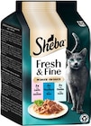 Fresh & Fine von Sheba für 2,19 € bei REWE im Angebot Fresh & Fine von Sheba im aktuellen REWE Prospekt