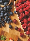 Intermarché Oyonnax - Promo Fruits rouges Promo Fruits rouges à 3,30 € dans le catalogue Intermarché à Oyonnax