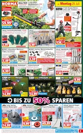 Ähnliche Angebote wie Akkuschrauber im Prospekt "Mehr fürs Geld" auf Seite 3 von Norma in Wismar