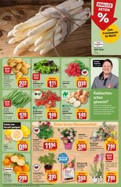 Aktueller REWE Prospekt mit Kartoffeln, "Dein Markt", Seite 7