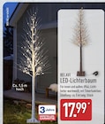LED-Lichterbaum im ALDI Nord Prospekt LED-Lichterbaum von BELAVI im aktuellen ALDI Nord Prospekt für 17,99 €