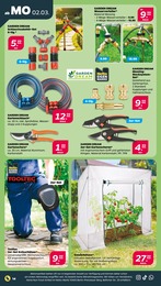 Schere Angebot im aktuellen Netto mit dem Scottie Prospekt auf Seite 22