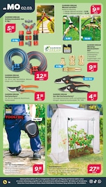 Gartenhaus im Netto mit dem Scottie Prospekt in Cottbus Aktueller Netto mit dem Scottie Prospekt mit Gartenhaus, "Günstig. Besser. Für Dich.", Seite 22