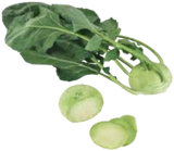 Kohlrabi von  im aktuellen E neukauf Prospekt für 0,79 €