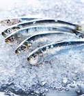 Sardine - Intermarché à Brest Sardine en promo chez Intermarché Brest à 3,39 €