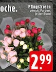 Pfingstrosen bei EDEKA im Prospekt "" für 2,99 €