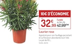 Laurier rose - Botanic à Grenoble Laurier rose en promo chez Botanic Grenoble à 32,99 €