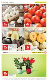 Offre Fleurs dans le catalogue Netto du moment à la page 12