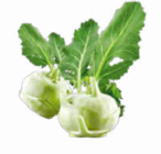 Aktuelles Kohlrabi Angebot bei Netto Marken-Discount in Würzburg ab 1,00 €