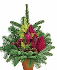 Dehner Garten-Center Neuwied - GRABGESTECK Angebot im Prospekt GRABGESTECK bei Dehner Garten-Center im Neuwied Prospekt für 12,99 €