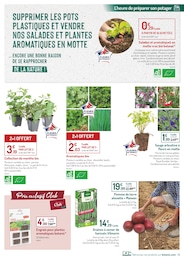 Offre Plante Aromatique dans le catalogue Botanic du moment à la page 3