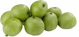 EDEKA Zweibrücken - Mini Kiwis Angebot im Prospekt Mini Kiwis bei EDEKA im Zweibrücken Prospekt für 1,99 €