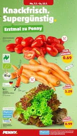 Aktueller Penny Prospekt mit Salat, "Wer günstig will, muss Penny.", Seite 2