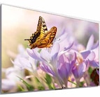 Aktuelle Fernseher Angebote bei expert in Gotha Aktuelles OLED TV Angebot bei expert in Gotha ab 1.249,00 €