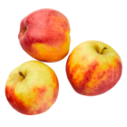 ALDI Nord Waren - Äpfel Elstar Angebot im Prospekt Äpfel Elstar bei ALDI Nord im Waren Prospekt für 1,49 €