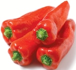 Spitzpaprika rot für 1,69 € bei Netto mit dem Scottie im Angebot Spitzpaprika rot im aktuellen Netto mit dem Scottie Prospekt