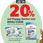 20% Rabatt bei DAS FUTTERHAUS im Memmingen Prospekt für 