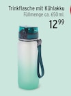 Trinkflasche mit Kühlakku im aktuellen EDEKA Prospekt