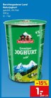 Aktuelles Naturjoghurt Angebot bei Netto Marken-Discount in Wuppertal ab 1,00 €