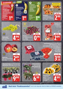 EDEKA Frischemarkt Prospekt der Woche "Top Angebote" Seite 2, 07.07.2025 bis 12.07.2025 für Ludwigslust Aktueller EDEKA Frischemarkt Prospekt "Top Angebote" Seite 2 von 12 Seiten für Ludwigslust