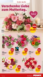 Penny Rose im Prospekt 