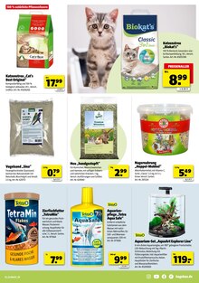 Katzenstreu im Hagebaumarkt Prospekt "Feier mit uns die goldene Herbstzeit" mit 16 Seiten (Stuttgart)