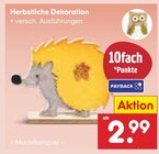 Herbstliche Dekoration im Angebot bei Netto Marken-Discount in Weiden Herbstliche Dekoration Angebote bei Netto Marken-Discount Weiden für 2,99 €