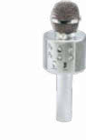 Karaoke Mikrofon BMC-040 im Angebot bei Netto Marken-Discount in Halle Karaoke Mikrofon BMC-040 Angebote von Lenco bei Netto Marken-Discount Halle für 9,99 €