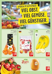 Bananen im Marktkauf Prospekt in Fürth Aktueller Marktkauf Prospekt mit Bananen, "AUSWAHL RIESIG, PREISE NIEDRIG", Seite 10