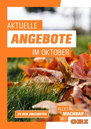 OBI Prospekt für Bückeburg: AKTUELLE ANGEBOTE, 1 Seite, 01.10.2022 - 31.10.2022