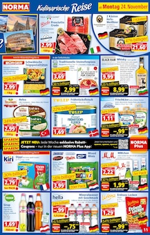 Pizza im Norma Prospekt "Mehr fürs Geld" mit 20 Seiten (Stuttgart)