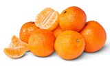 Mandarinen von Marktliebe im aktuellen Penny Prospekt für 1,79 €