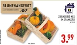 Angebot im Marktkauf Düsseldorf Prospekt Marktkauf Düsseldorf Prospekt mit im Angebot für 3,99 €