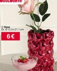 Vase Angebote bei Woolworth Wismar für 6,00 €