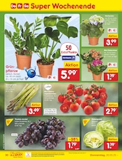 Aktueller Netto Marken-Discount Prospekt mit Hortensie, "Aktuelle Angebote", Seite 3