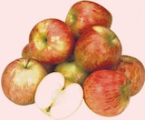 Aktuelles Deutsche Tafeläpfel Angebot bei Zimmermann in Bremerhaven ab 2,49 €