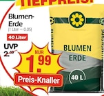 Blumen-Erde Angebote bei Wreesmann Bautzen für 1,99 €
