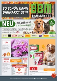 Aktueller BBM Baumarkt Prospekt (Berne) BBM Baumarkt Prospekt mit 16 Seiten (Berne)