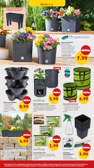 Blumenkasten im Penny Prospekt "Wer günstig will, muss Penny." mit 43 Seiten (Dortmund)