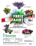 Pflanzen Pflanzen