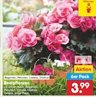 Beetpflanzen bei Netto Marken-Discount im Mörsdorf Prospekt für 3,99 €