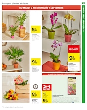 Orchidée Angebote im Prospekt "Carrefour market" von Carrefour Market auf Seite 37