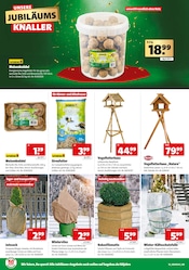 Aktueller Hagebaumarkt Prospekt mit Tierfutter, "UNSERE JUBILÄUMS KNALLER", Seite 16