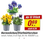Hornveilchen/Stiefmütterchen im aktuellen toom Baumarkt Prospekt