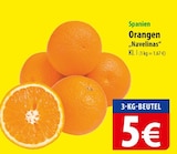 Angebot im famila Nordost Flensburg Prospekt famila Nordost Flensburg Prospekt mit im Angebot für 5,00 €