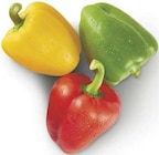 Aktuelles Paprika Mix Angebot bei combi in Paderborn ab 1,77 €